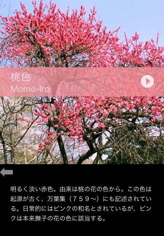 Japanese COLORFUL DATA screenshot 3