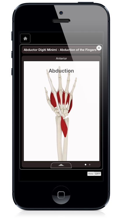 Hand & Wrist Pro III with Animations - iPhone Edition screenshot-4