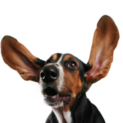 Basset Hounds - Hound Dog Fun icon