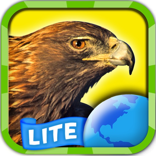 My Birds of Prey HD Lite iOS App