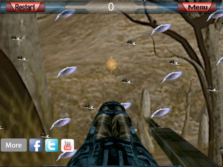 Bird Tracking HD FREE