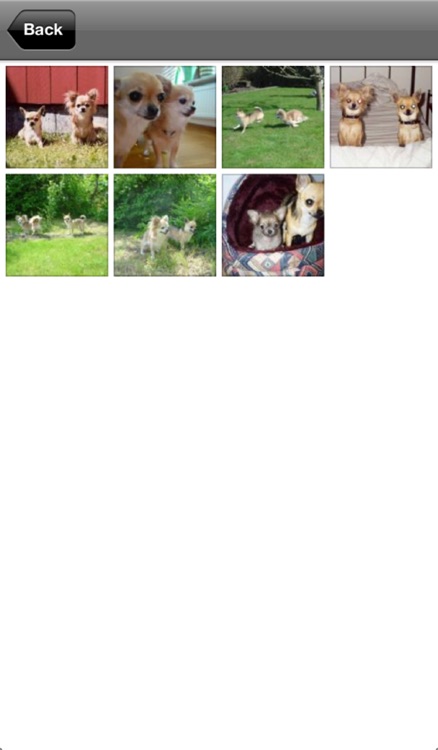 Vovve screenshot-3