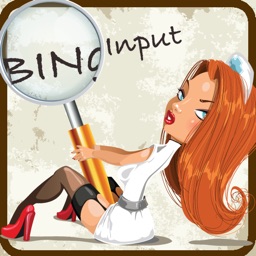 BingoInput - "helper, dictionary for Draw Something"