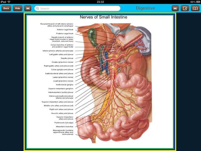 Atlas of Anatomy for iPad(圖4)-速報App