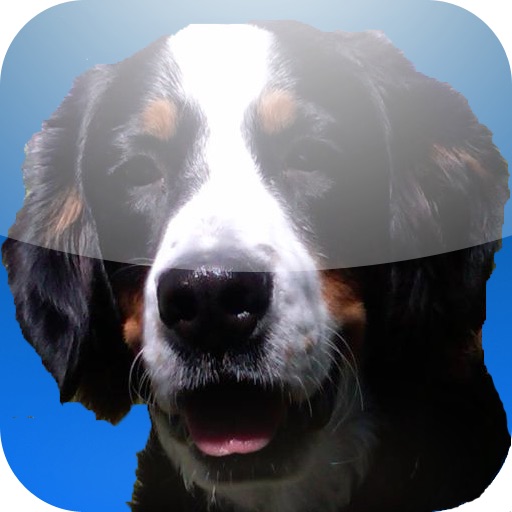 Roxy's Fun in the Snow iOS App