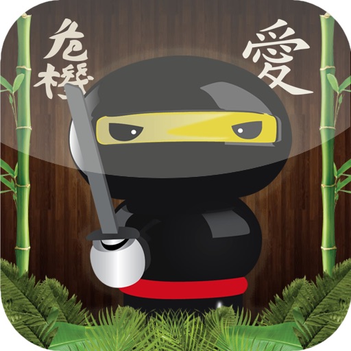 Slingshot Ninja Knockdown Game