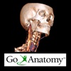Go Anatomy for iPad - Head, neck and brain