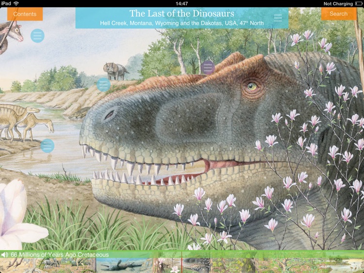 NHM Evolution