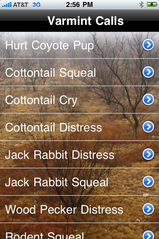 Pro Varmint Calls