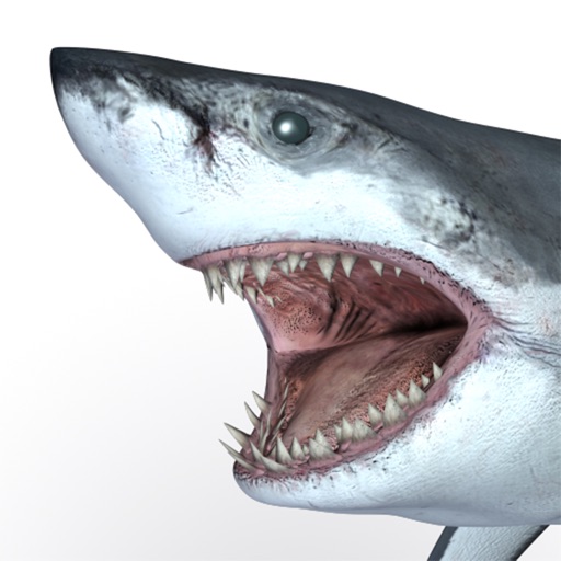 Talking Great White : My Pet Shark PRO Icon