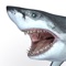 Talking Great White is your pet shark on your iPhone/iPod Touch