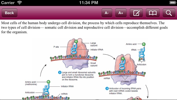Principles of Anatomy and Physiology for iPhone