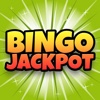 Bingo Jackpot: Casino Party Edition - FREE