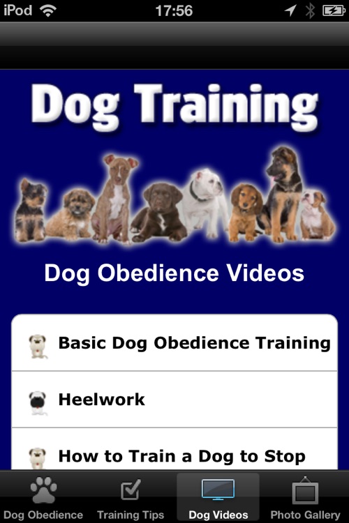 Dog Training: Obedience, Behaviour and Commands screenshot-4