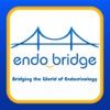 EndoBridge 2013