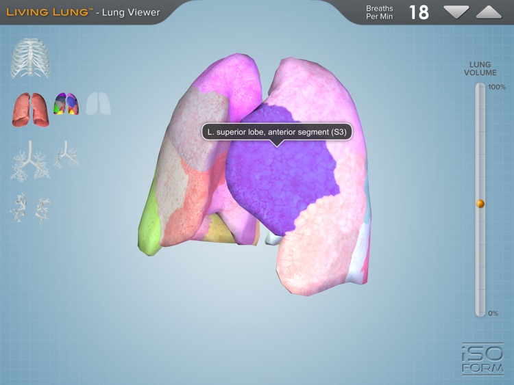 Living Lung™ - Lung Viewer