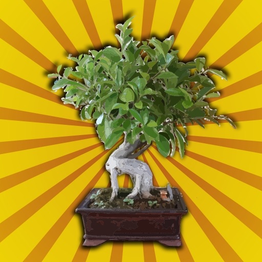 Bonsai Manager