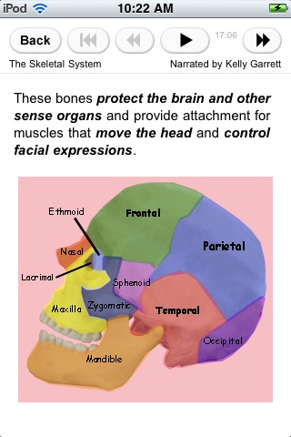 Anatomy and Physiology screenshot 3