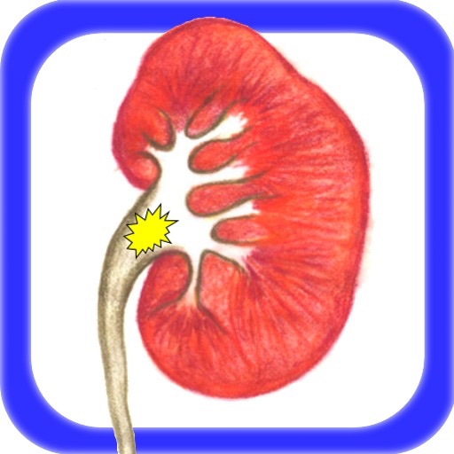 Kidney Stone App icon