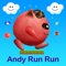 Andy Run Run