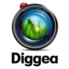 Diggea