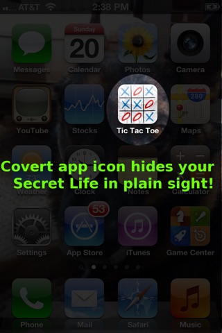 Secret Life PRO - SL Tac Toe screenshot 4
