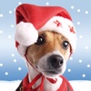 Christmas Pet Countdown - How many sleeps to Christmas?