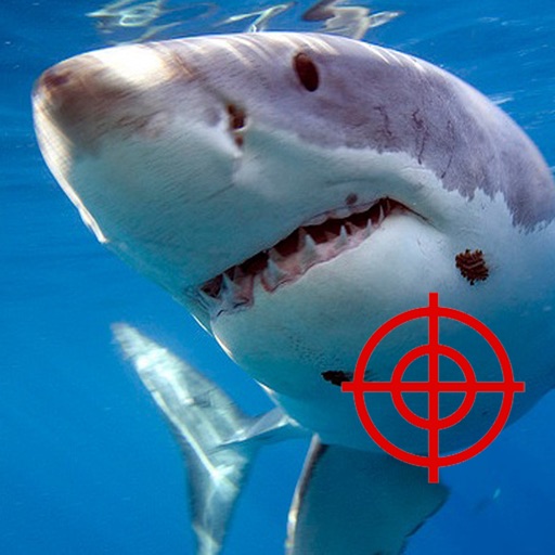 Shark Hunter 2014 iOS App