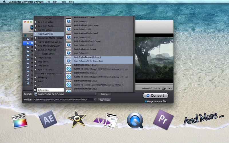 Camcorder Converter Ultimate thumbnail 2