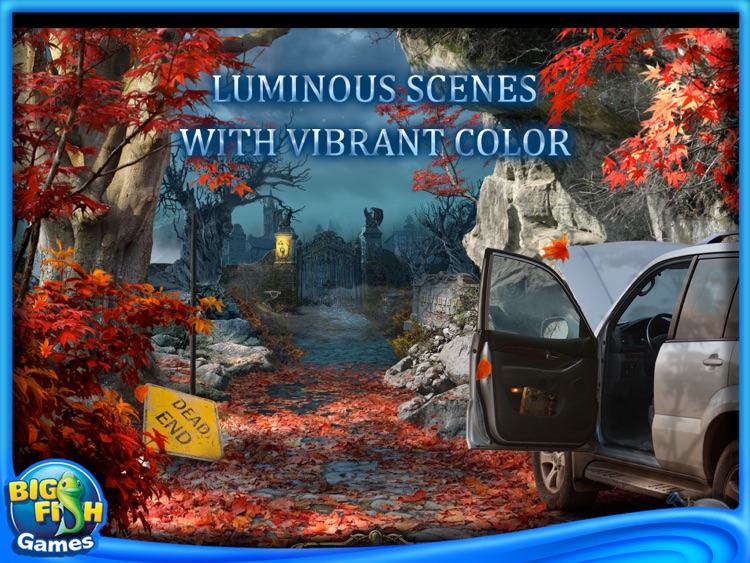 Dark Dimensions: City of Fog Collector's Edition HD