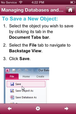 GCF Access 2010 Tutorial screenshot 2