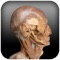 Explore the anatomy of the human body as if you were a dissector in an anatomy laboratory