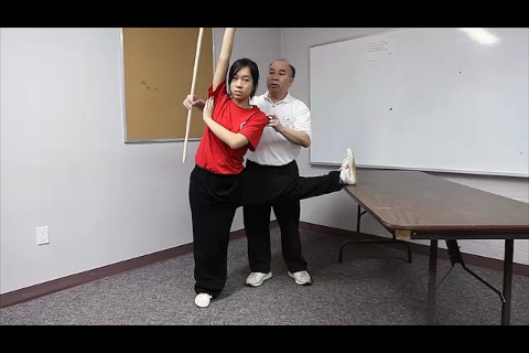 Wing Chun for health 1 screenshot 2