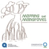 Mapping The Mangroves