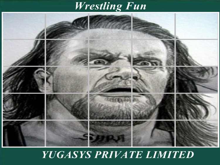 Wrestling Fun