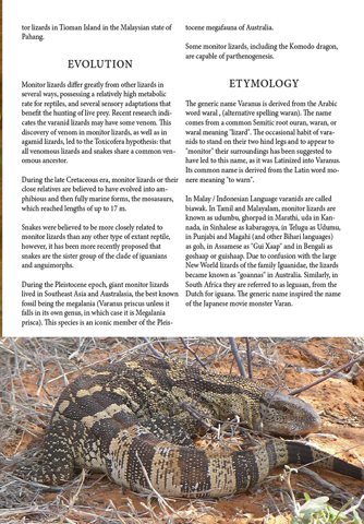 Lizards Magazine screenshot 3