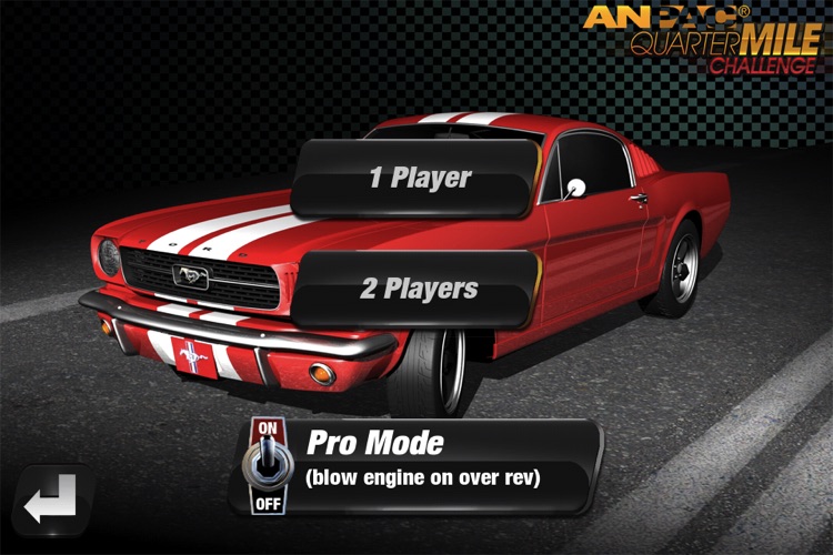 Quarter Mile Challenge Drag Race