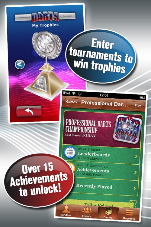 Professional Darts Championship screenshot-4