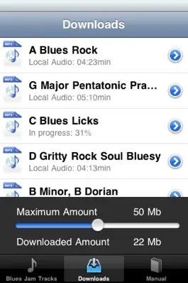 Game screenshot Blues Jam Tracks hack