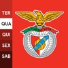 SL Benfica Fancal