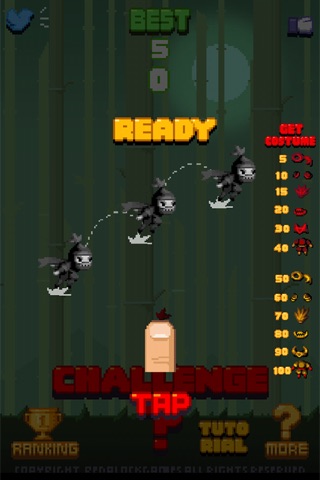 Flappy Challninja - 플래피 챌닌자 screenshot 3