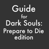 Guide for Dark Souls: Prepare to Die Edition