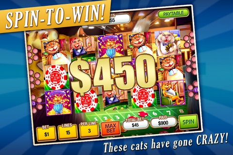 Crazy Cat Slots Lite screenshot 3