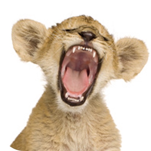 Funny Animal Jokes (The Zoo & Wild Animal Joke Collection) iOS App