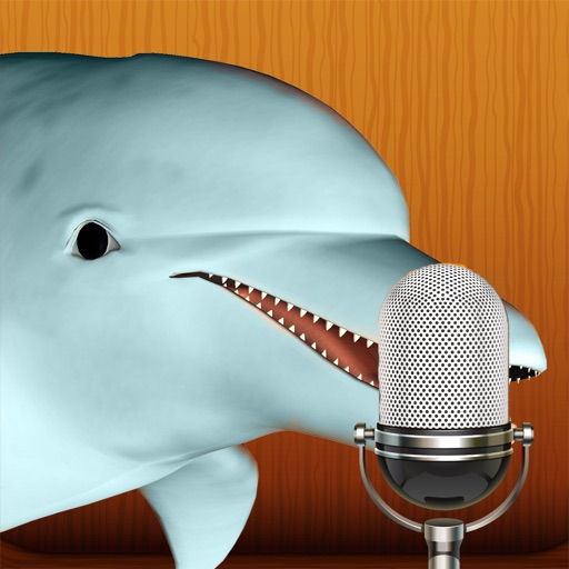 Talking Dolphin icon