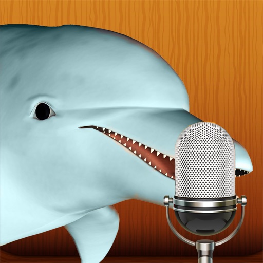 Talking Dolphin