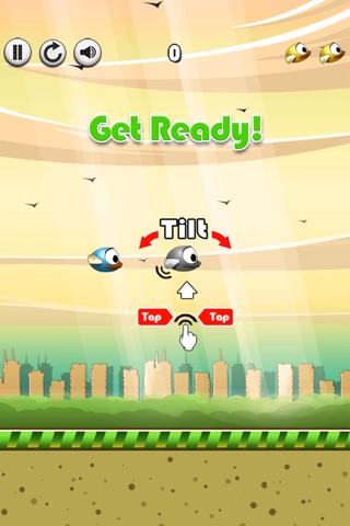 Flappy Quacky : A Flying Bird Game - Tilt and Shift to Live screenshot 2