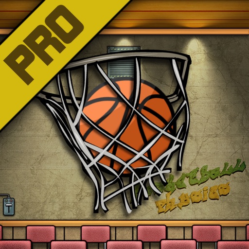 Basketball Physics Pro icon