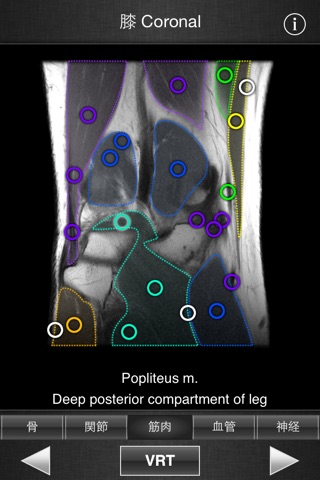 Monster Anatomy - Lower Limb screenshot 4