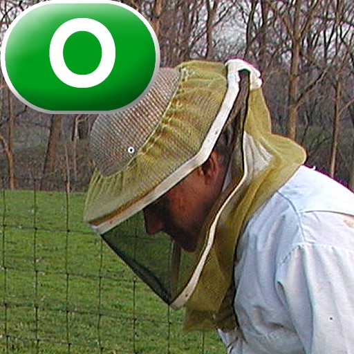 The Beekeeper -  LAZ Reader [Level O–second grade] icon
